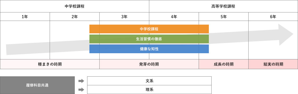 新中高一貫教育システム